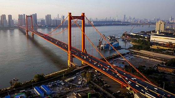 Мост Инъучжоу / 鹦鹉洲长江大桥