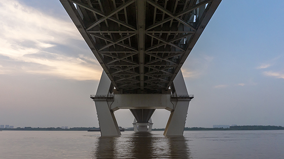Мост Тяньсинчжоу / 天兴洲长江大桥